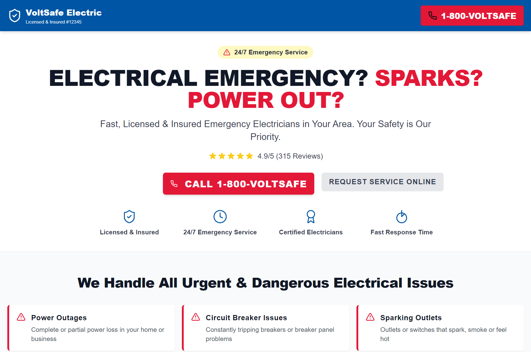 VoltSafe Electric
